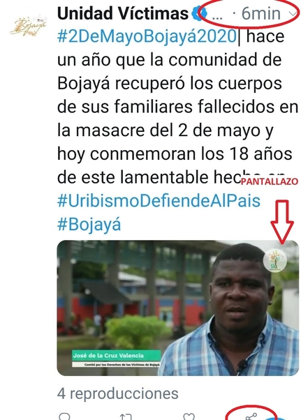 Pantallazo trino montaje