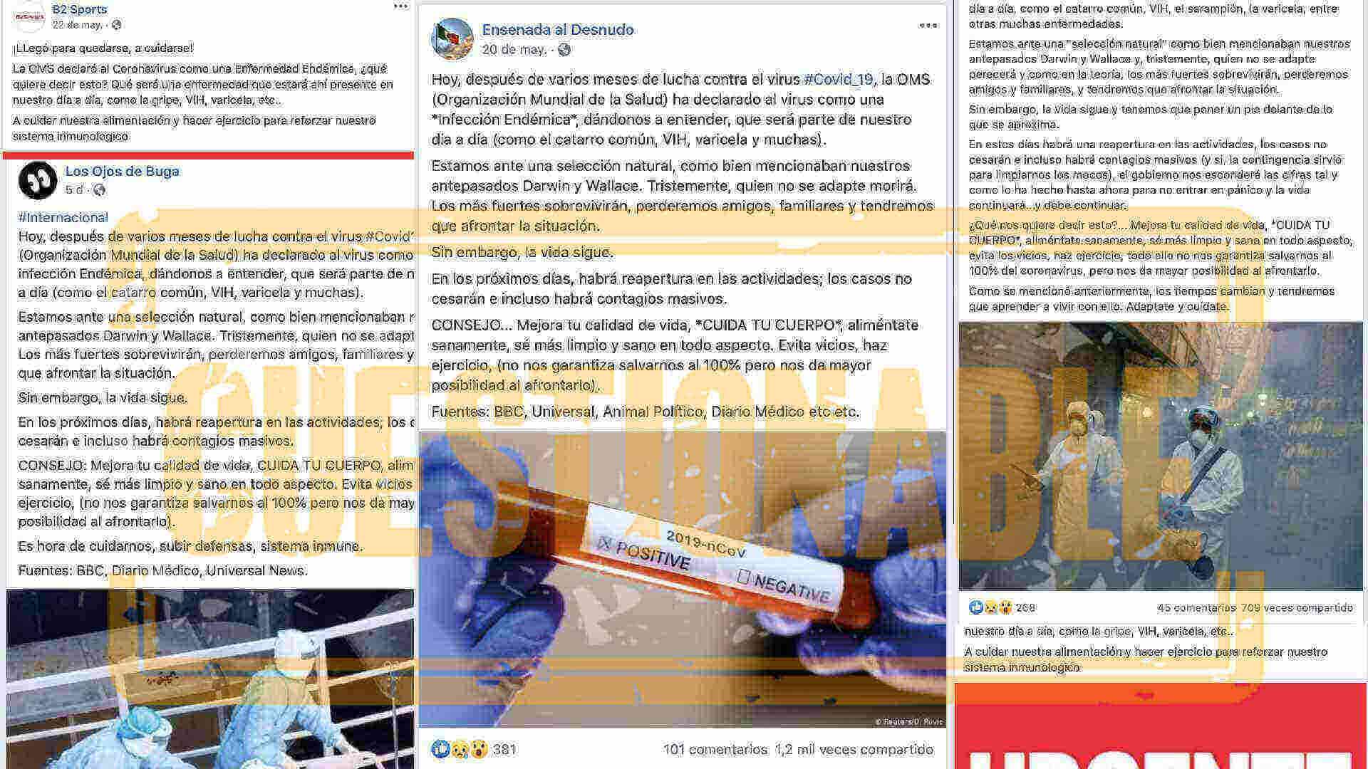 OMS declara COVID-19 enfermedad endémica